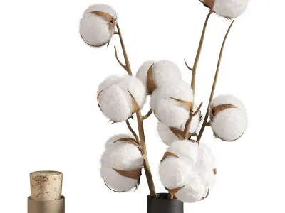 Japandi decoration set with cotton 3D model