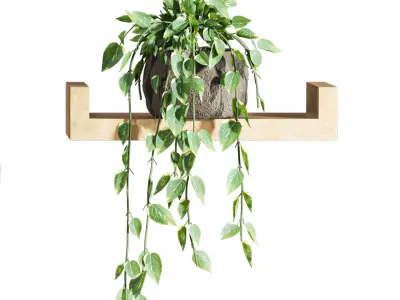 Plants Set 3D model