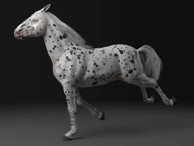 Horse model running 3D model