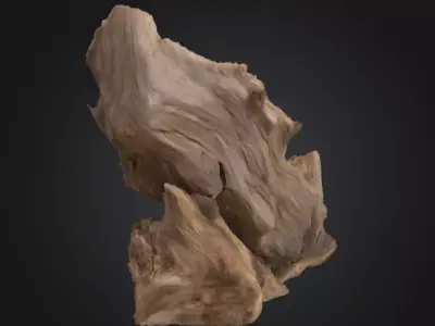 Desolate Driftwood Low-poly 3D model