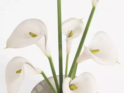 Bouquet-H53-Lily flower 3D model