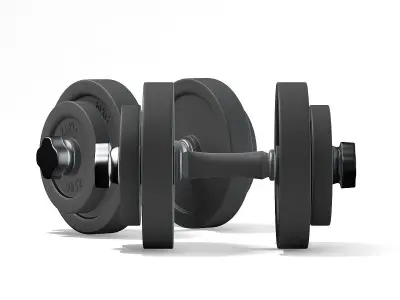 Dumbbells 3D model