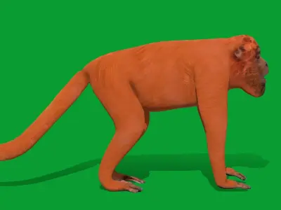 Howler Monkey Low-poly 3D model