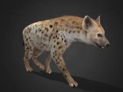 Hyena Realistic Animated 3D model
