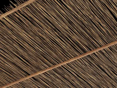 Ceiling thin branch rectangle n1 3D model