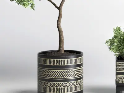 Collection Indoor plant 132 vase handmade pottery plant tree pot 3D model