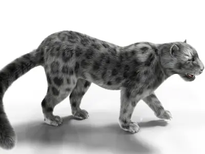 Realistic Fur Leopard  Rigged Low-poly 3D model
