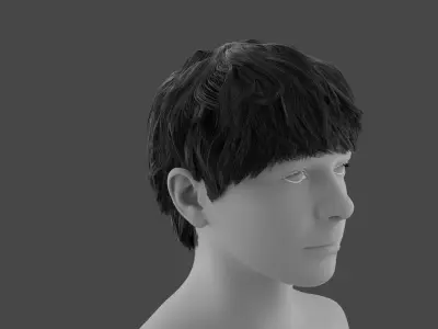 Bowl cut with sideburns Free 3D model
