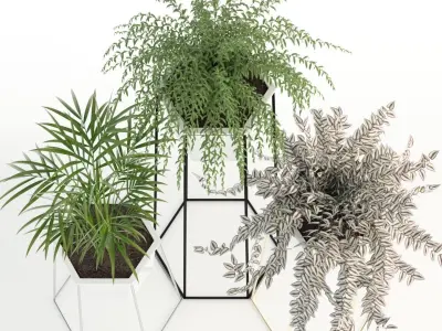 Plants collection 88 3D model