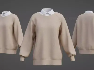 Sweater  and Collared Shirt - Knit Pullover wear formal clothing 3D model