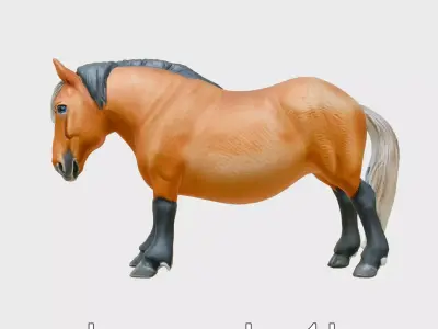 Buckskin Morgan Horse with Tan Coat and Black Points Low-poly 3D model