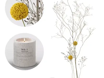 Decor Craspedia and candles Set 58 3D model