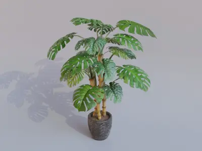 Monstera Plant with Plant Pot Low-poly 3D model