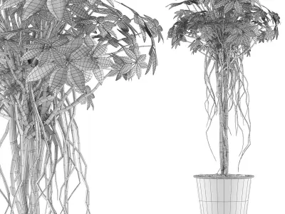 Plants Collection 87 3D model