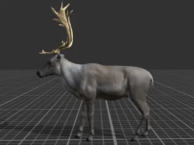 Reindeer  Low-poly 3D model