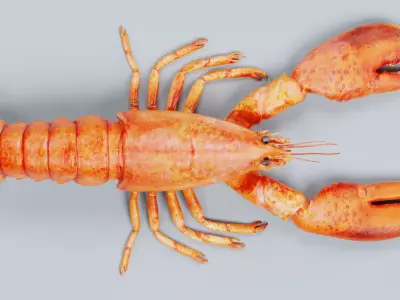 Cooked Lobster - Realistic Crustacean Homarus Americanus 3D model