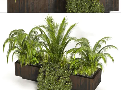 Collaction Indoor plant vol 40 3D model