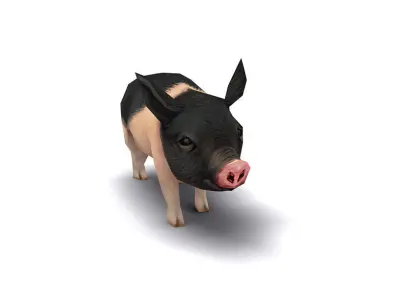 pig pet pig swine hog hoggery Low-poly 3D model