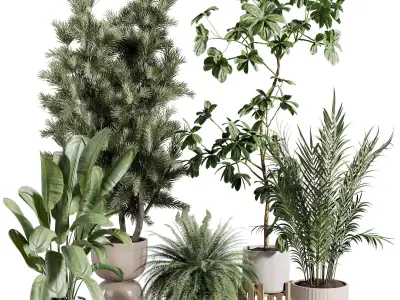 indoor plant 514 3D model