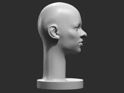 human head modern sculpture 3d print model 109 3D print model
