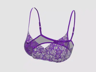 Wired Lace Bra 3D model