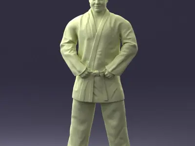 000089 Judo Fighter 1105 3dp 3D print model