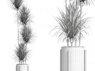 Indoor Plant 01 3D model