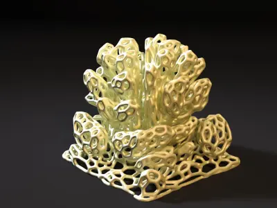 Coral Voronoi decor 2 3D print model