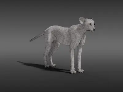Young Cheetah Model 3D model