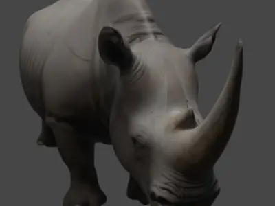 Realistic Rhinoceros 3D Model 3D model