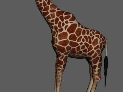Zeraf giraffe Low-poly 3D model