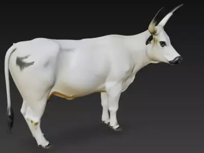 White Park Cow Low-poly 3D model