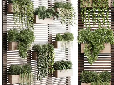 plants set partition in wooden frame Vertical graden 3D model