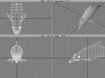 Dolphin - Coastal 3D model