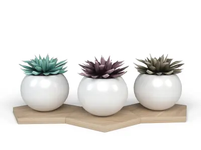 Potted Plant Decoration 3D model