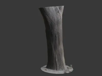 Tree Trunk 3D Scan Low-poly 3D model