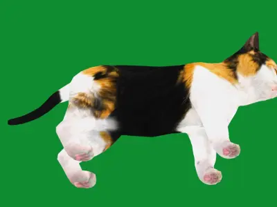 Calico Kitten Cat Low-poly 3D model