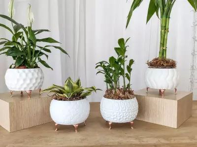 Modern Vase Collection - plant vase 3D print model