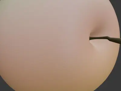 two apples of different varieties red and white 3D model