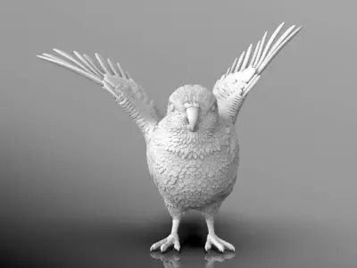 parrot bird with wings spread 3D print model