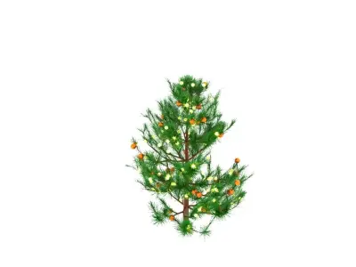 Christmas tree 3D model