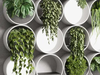 wall plant  set Indoor plant concrete wall vase 3D model