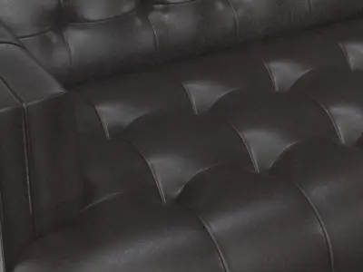 Darian Leather Sofa 3D model