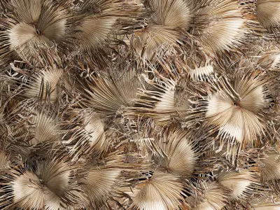Wall decor made from dry branches of palm leaves 311 3D model