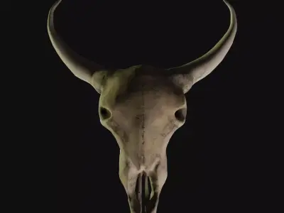 Cow Skull 3D model