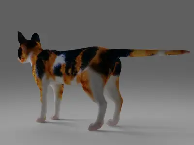 Calico Cat NO Rigged V4 in Blender Low-poly 3D model