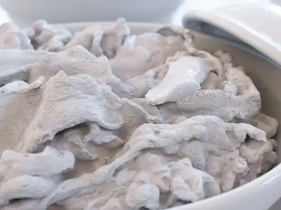 Gyudon and Donburi bowl with lid - Japanese Beef Rice Bowl Low-poly 3D model