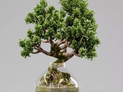 Bonsai Tree Indoor Plant 02 3D model