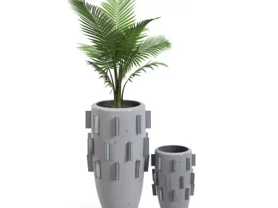 Areca Palm Ari Planter  PBR 3D model