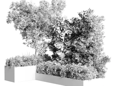 set of plants in concrete box - collection outdoor plant 115 3D model